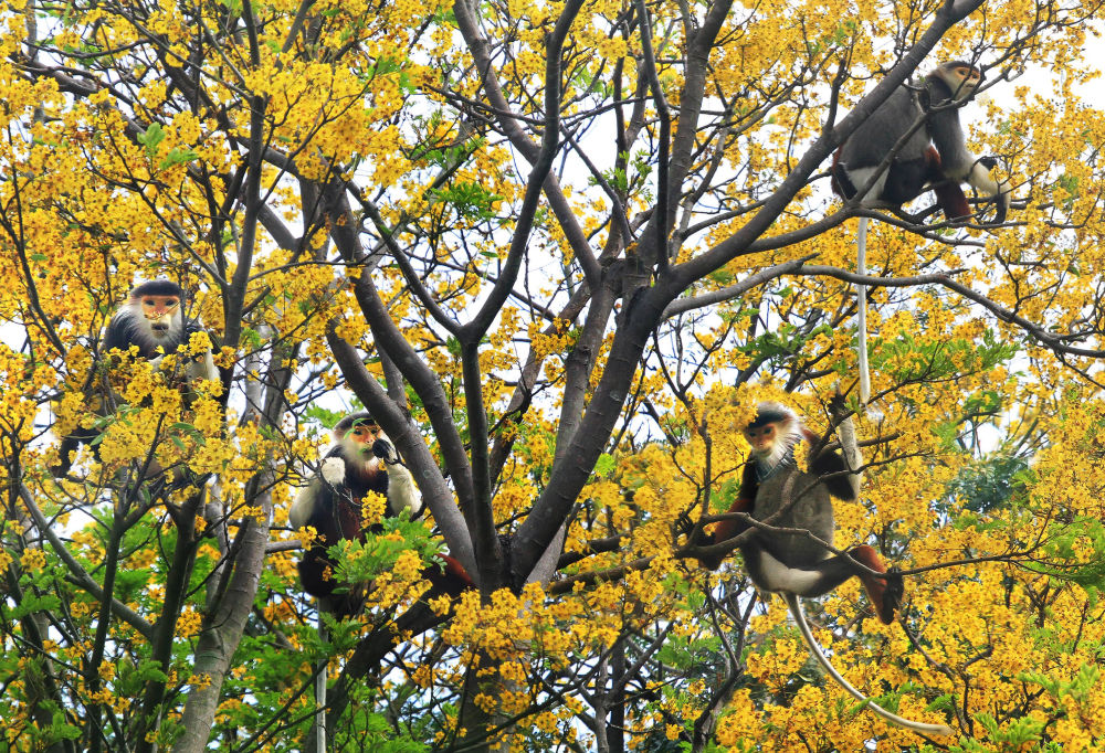 dc-biodiversity