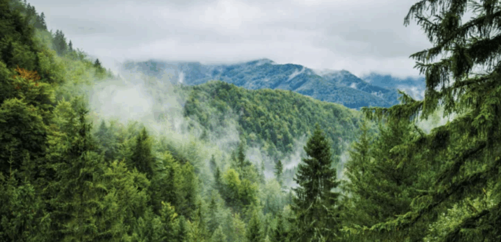 Screenshot 2025 08 21 At 16.46.29