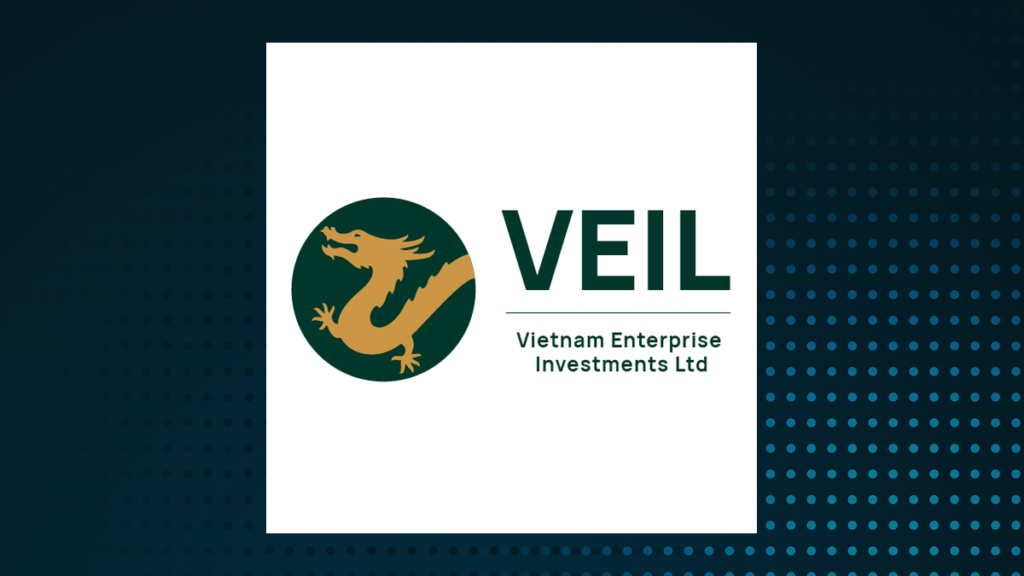 Vietnam Enterprise Logo 1200x675